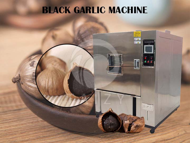 Black garlic fermenter