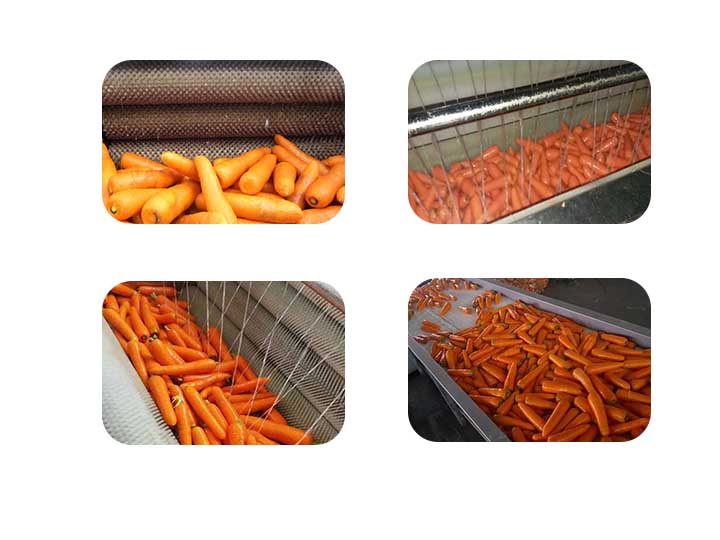 Brush carrot cleaning machine