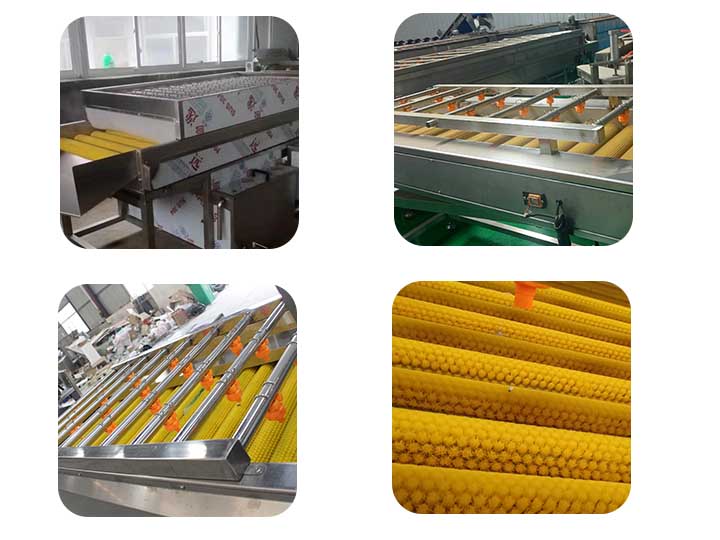 Roller machine for cleaning dates