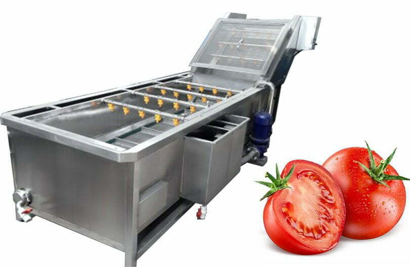 Commercial tomato washing machine