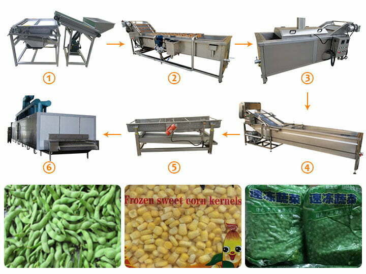 Frozen peas processing line