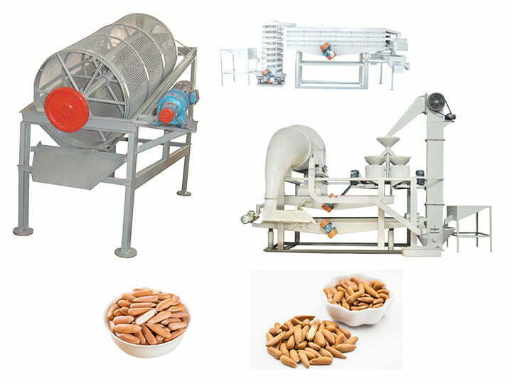 Pakistan pine nut shelling peeling machine
