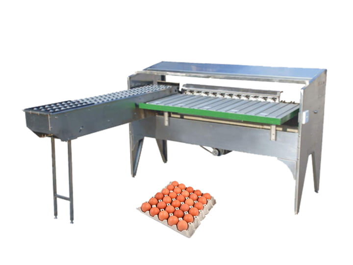 Tz-5400 automatic egg sorting machine
