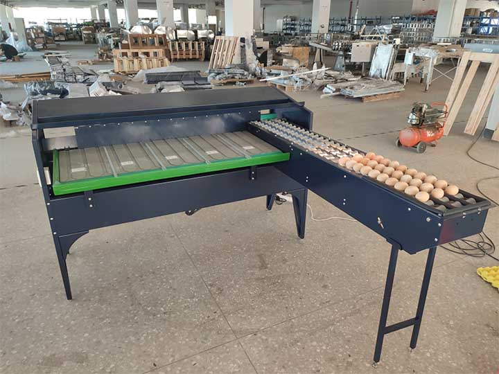 Egg grading machine sold to philippines