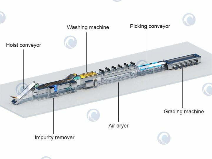 Structure diagram of vegetable & fruit washing drying grading line
