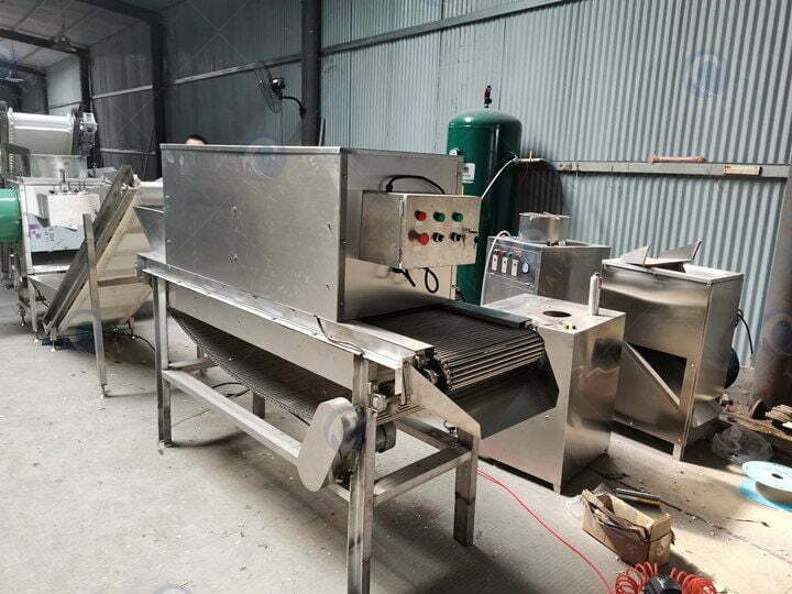 Garlic processing equipment in taizy factory
