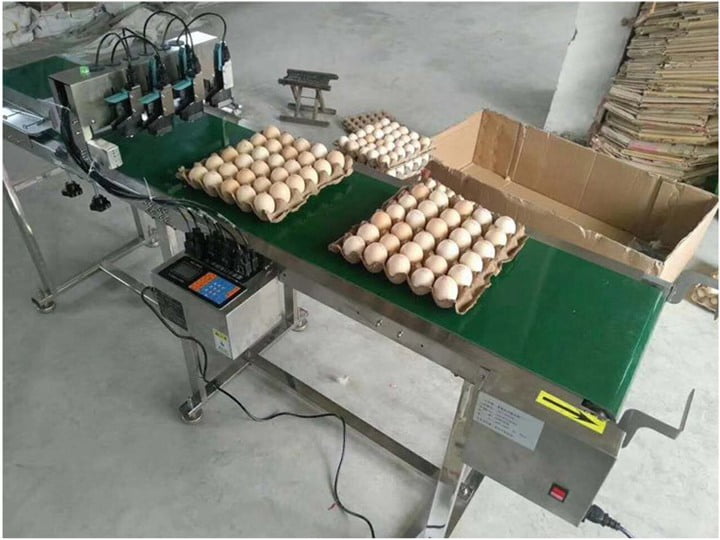 Commercial egg coder machine for sale