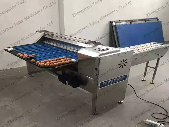 Small egg grading machine for south africa